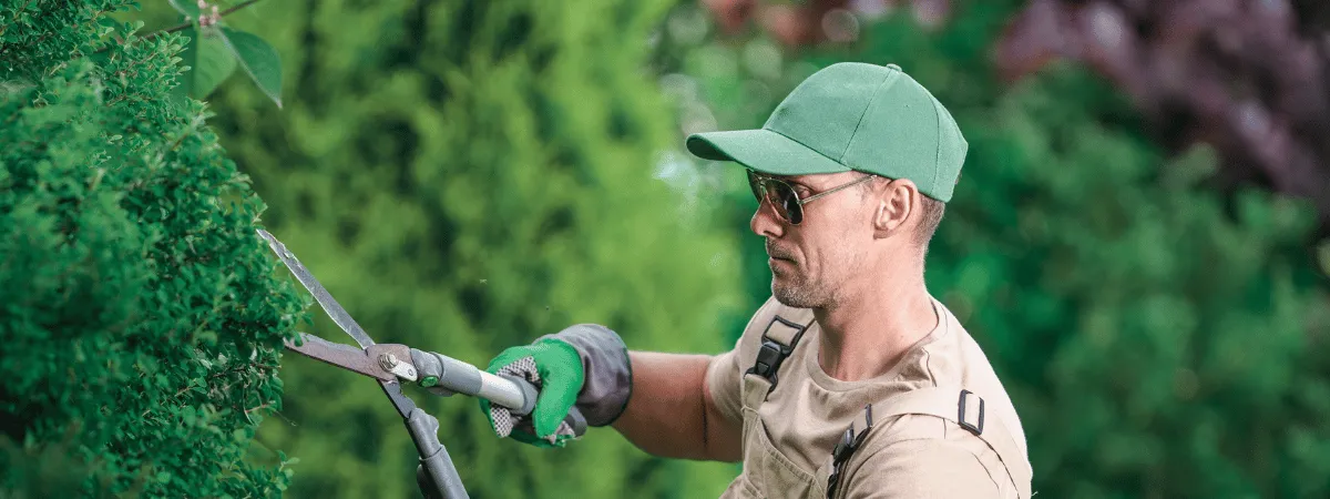 Professional Landscaping & Drainage in Downtown Bellevue (Bellevue, WA 98004) - Certified Contractors & Fair Quotes