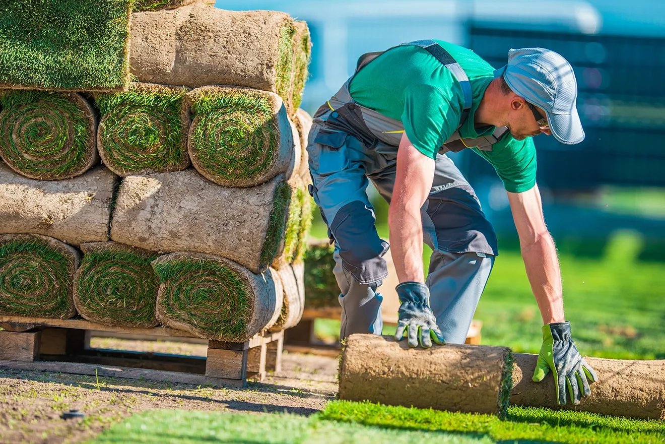 Professional Landscaping & Outdoor Living in Louisiana - Certified Contractors & Fair Quotes